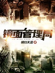 《鏡面管理局》