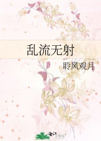 乱流无射