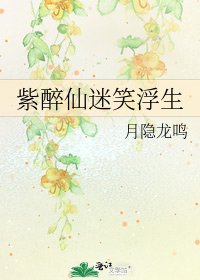紫醉仙迷笑浮生