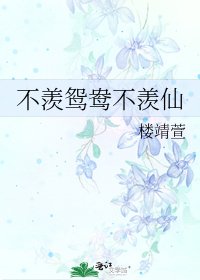 不羡鸳鸯不羡仙
