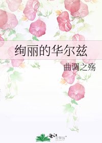 绚丽的华尔兹