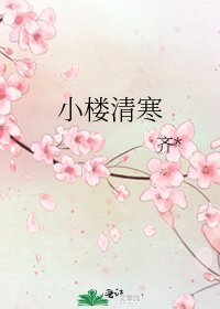 小楼清寒