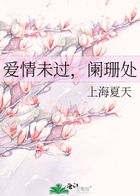 爱情未过,阑珊处