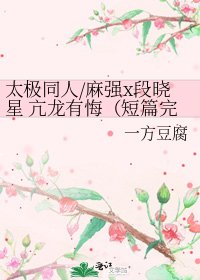 太极同人/麻强x段晓星 亢龙有悔(短篇完)