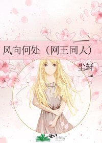 风向何处(网王同人)