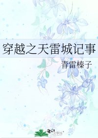 穿越之天雷城记事