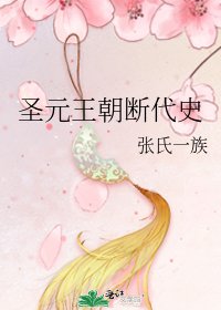 圣元王朝断代史