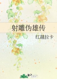 射雕伪雄传