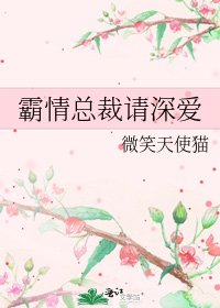 霸情总裁请深爱