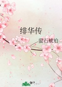 绯华传