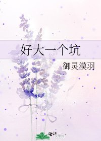 好大一个坑