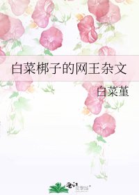 白菜梆子的网王杂文