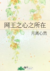 网王之心之所在