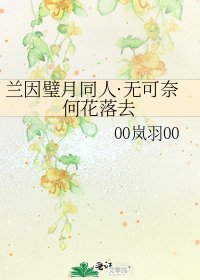 兰因璧月同人·无可奈何花落去