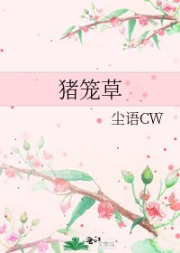 豬籠草