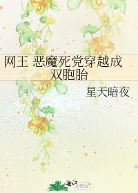 網王 惡魔死黨穿越成雙胞胎