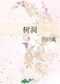 树洞