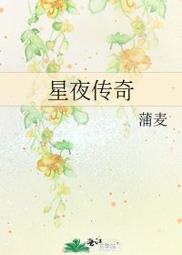 《星夜傳奇》