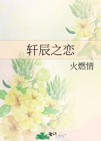 轩辰之恋