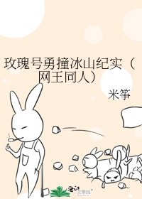 玫瑰号勇撞冰山纪实(网王同人)