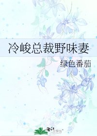 冷峻总裁野味妻