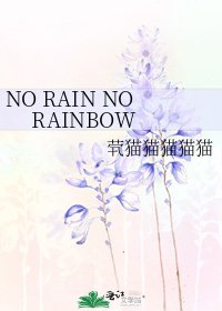 NO RAIN NO RAINBOW