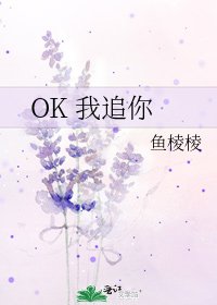 OK 我追你