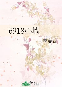 6918心墙