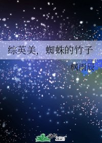 综英美,蜘蛛的竹子