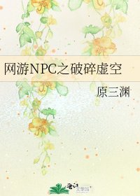 网游NPC之破碎虚空