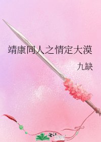 靖康同人之情定大漠