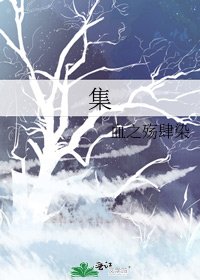 《集》