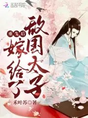 《重生後嫁給了敵國太子》