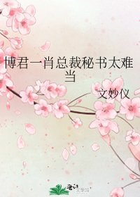 博君一肖總裁秘書太難當
