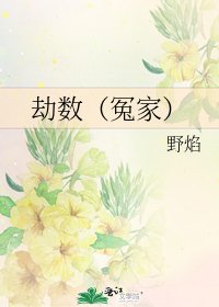 劫数(冤家)