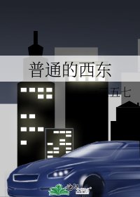 普通的西东