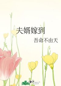 夫婿嫁到