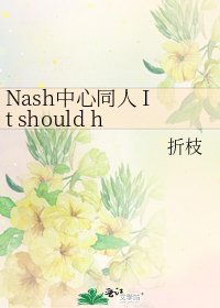 Nash中心同人 It should have never been like this