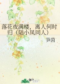 落花夜满楼,离人何时归(陆小凤同人)
