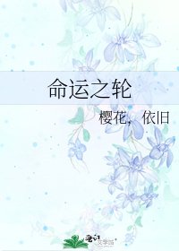 命运之轮