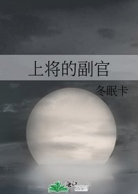 上将的副官