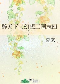 《醉天下(幻想三國志四)》