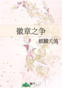 徽章之争