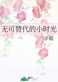 无可替代的小时光