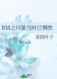 RM之只是當時已惘然