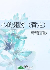 心的翅膀(暫定)
