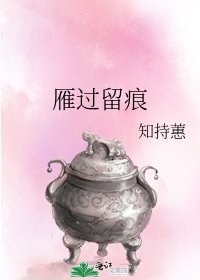 雁过留痕