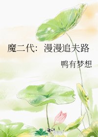 魔二代:漫漫追夫路