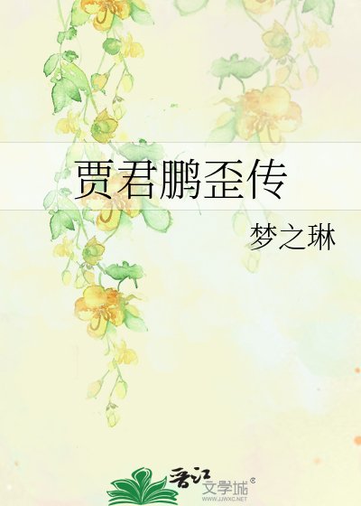 贾君鹏歪传