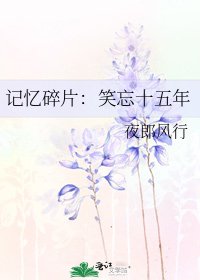 《記憶碎片:笑忘十五年》